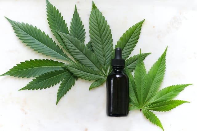 Cannabinoids 101