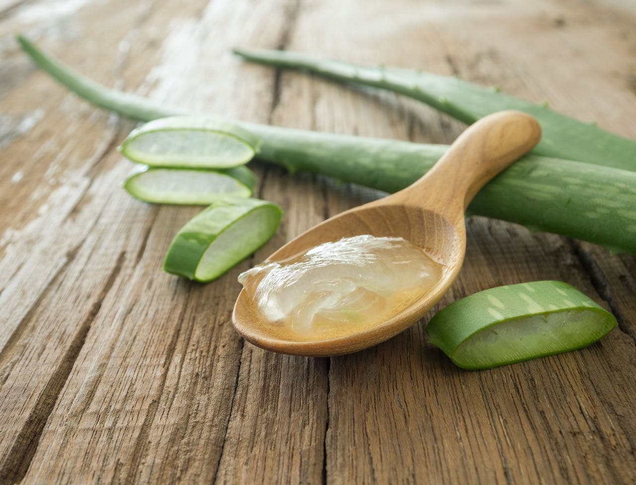 Read The Label: What You Need To Know About Aloe Vera In Skincare